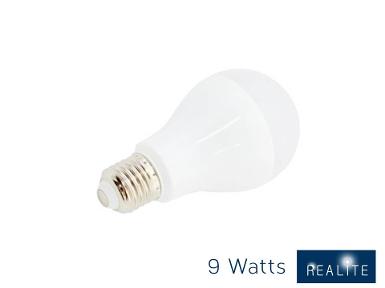 Integrated Bulb 9W (Day Light)